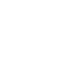 Multimedios ICP